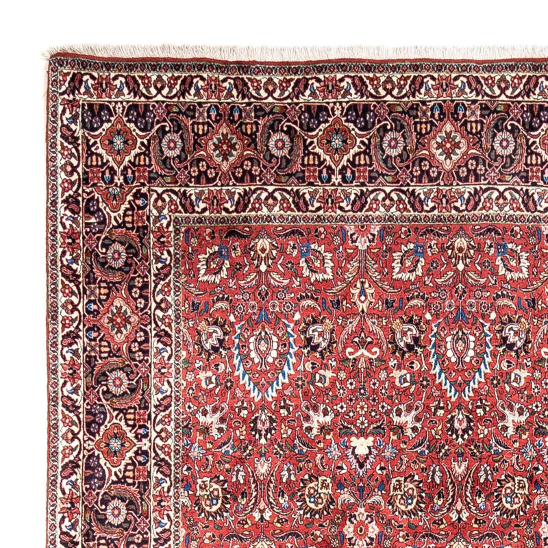 Bidjar - Takab Teppe 346x250cm - Persisk teppe
