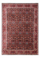 Bidjar - Takab Teppe 342x256cm - Persisk teppe