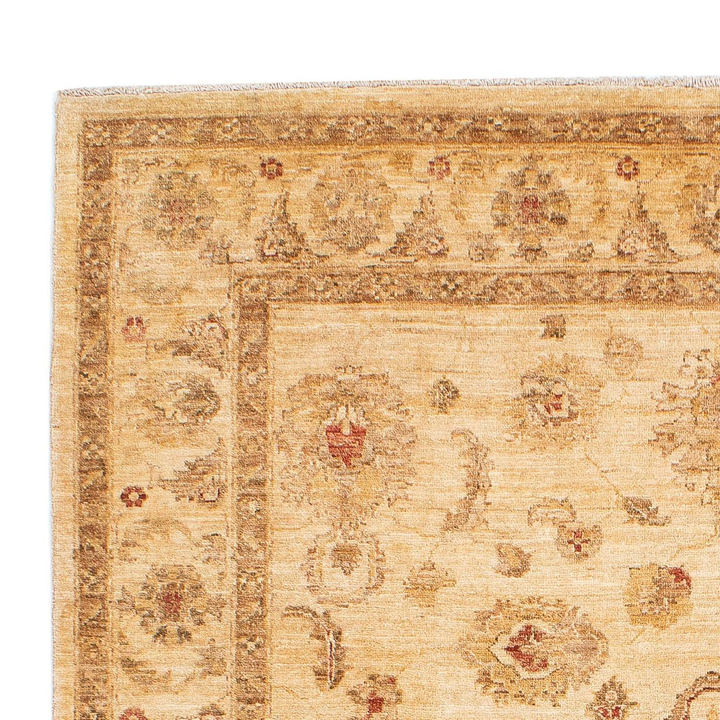 Ziegler Teppe 229x168cm - Orientalsk teppe