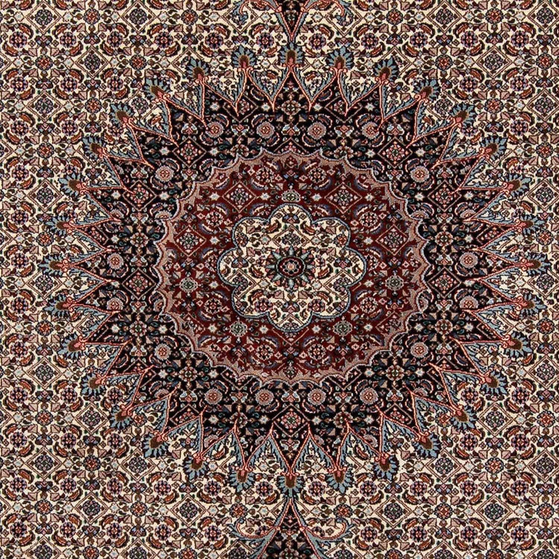 Moud Teppe 276x200cm - Persisk teppe