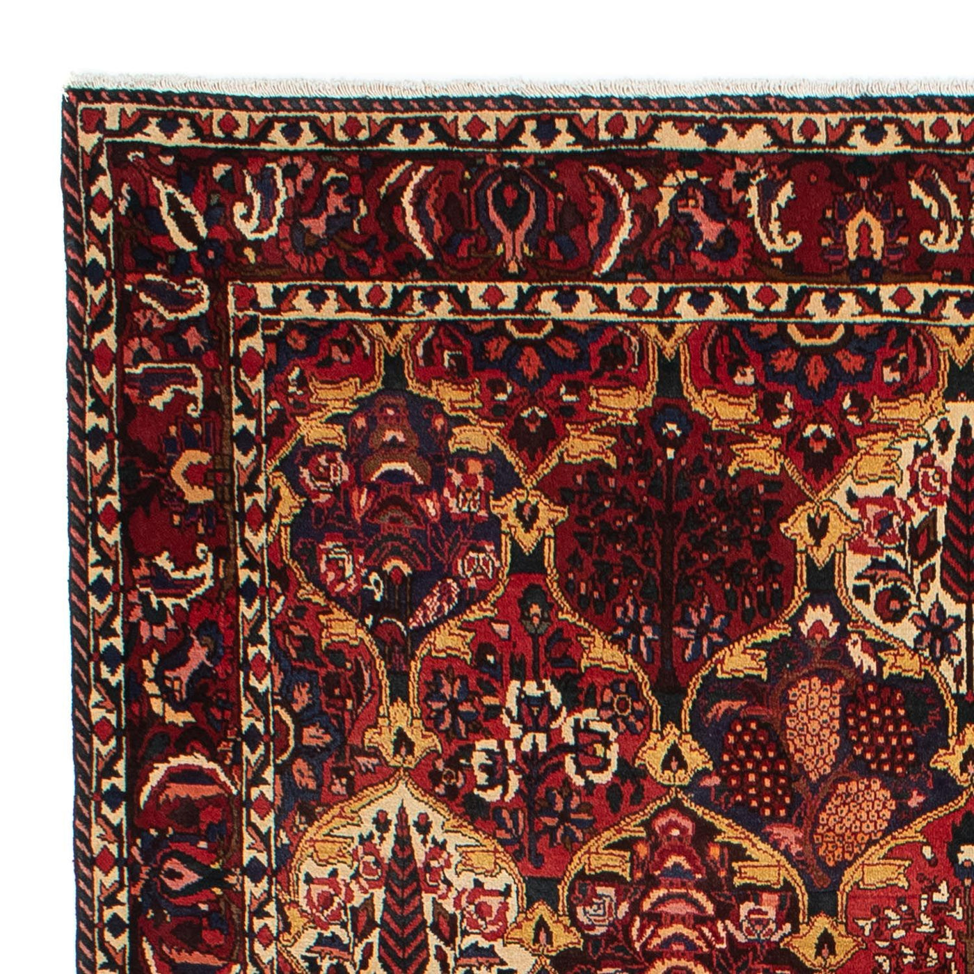 Bakhtiari Teppe 305x211cm - Persisk teppe