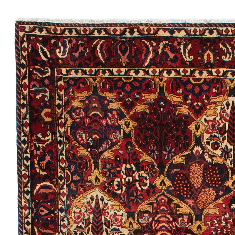 Bakhtiari Teppe 305x211cm - Persisk teppe
