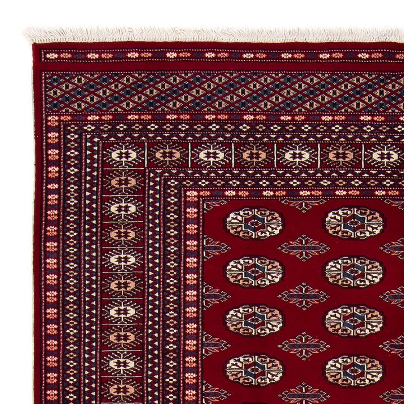 Bukhara Teppe 240x170cm - Orientalsk teppe