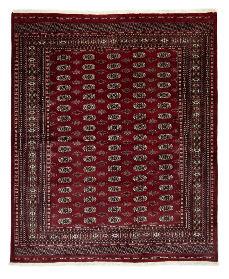 Bukhara Teppe 201x247cm - Orientalsk teppe