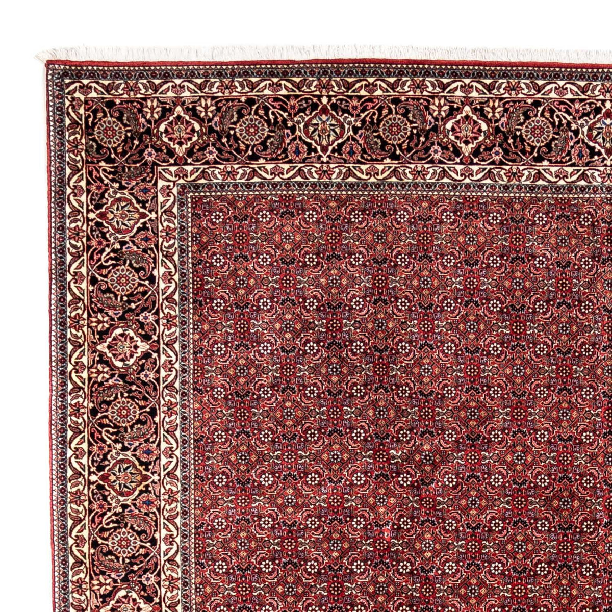 Bidjar - Takab Teppe 252x350cm - Persisk teppe