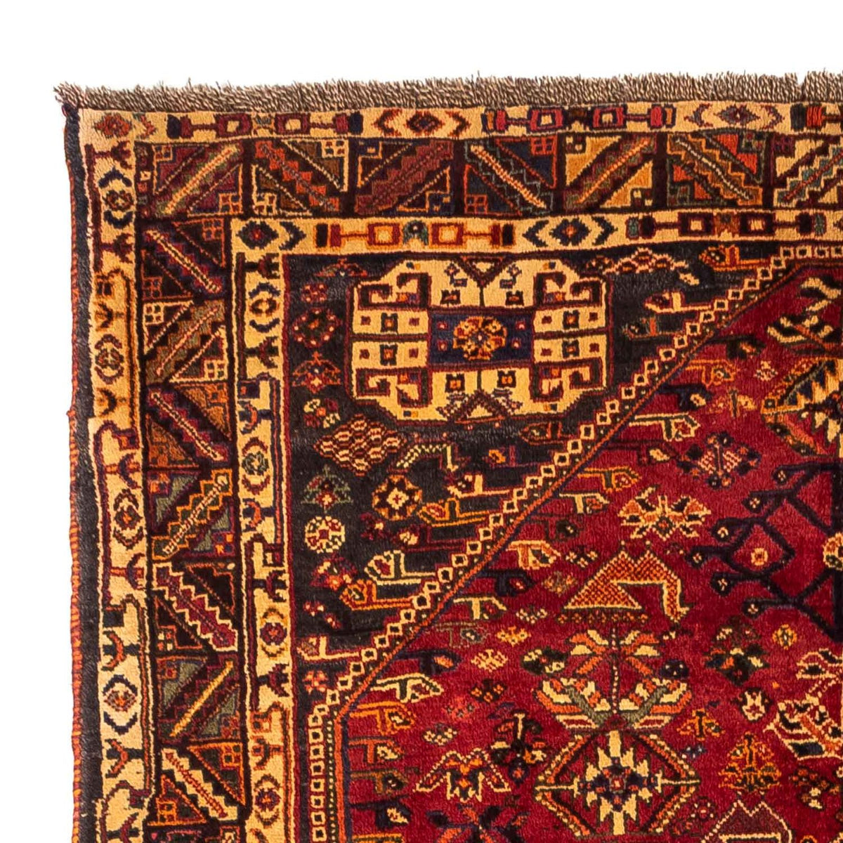 Shiraz Teppe 163x270cm - Persisk teppe