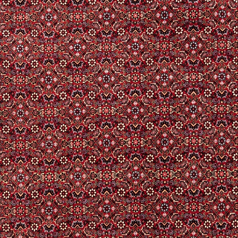 Bidjar - Takab Teppe 338x252cm - Persisk teppe