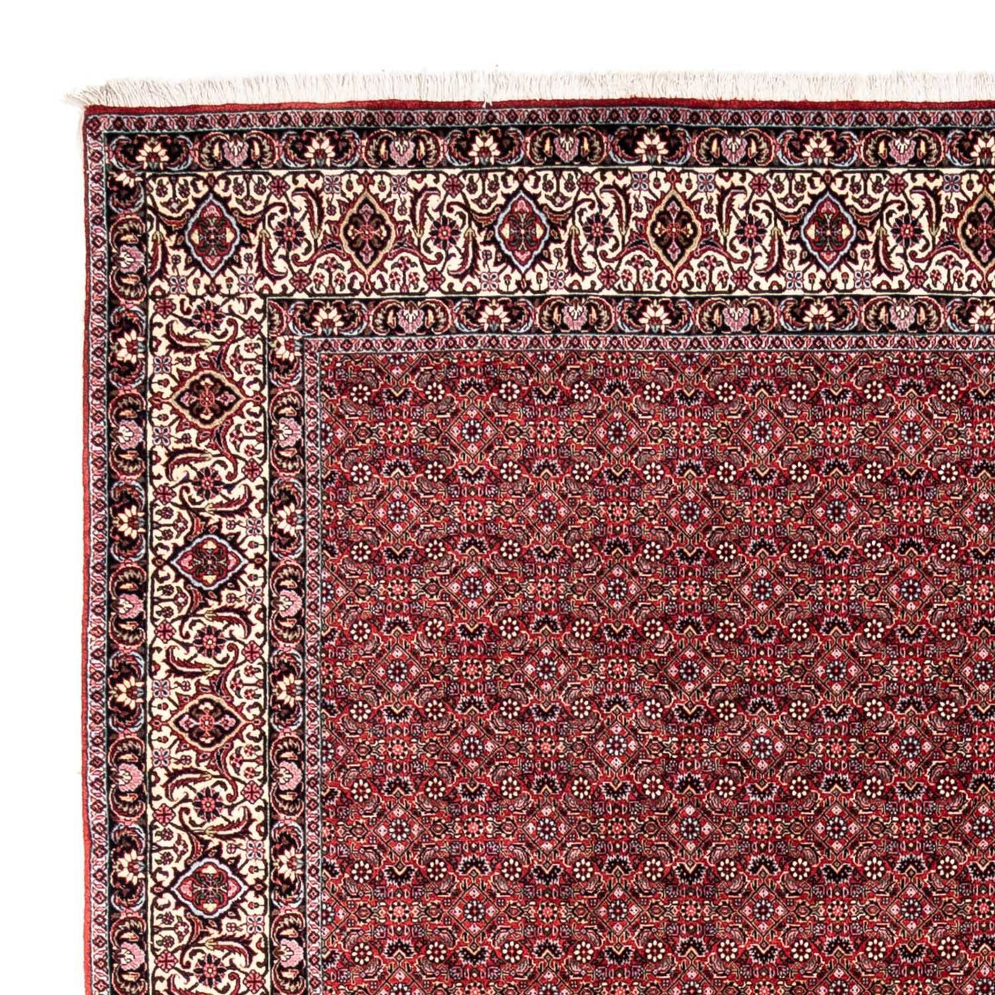 Bidjar - Takab Teppe 338x252cm - Persisk teppe