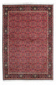 Bidjar - Zanjan Teppe 140x206cm - Persisk teppe