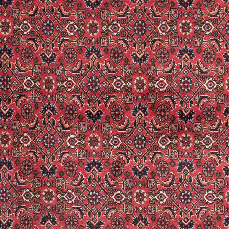 Bidjar - Zanjan Teppe 140x206cm - Persisk teppe