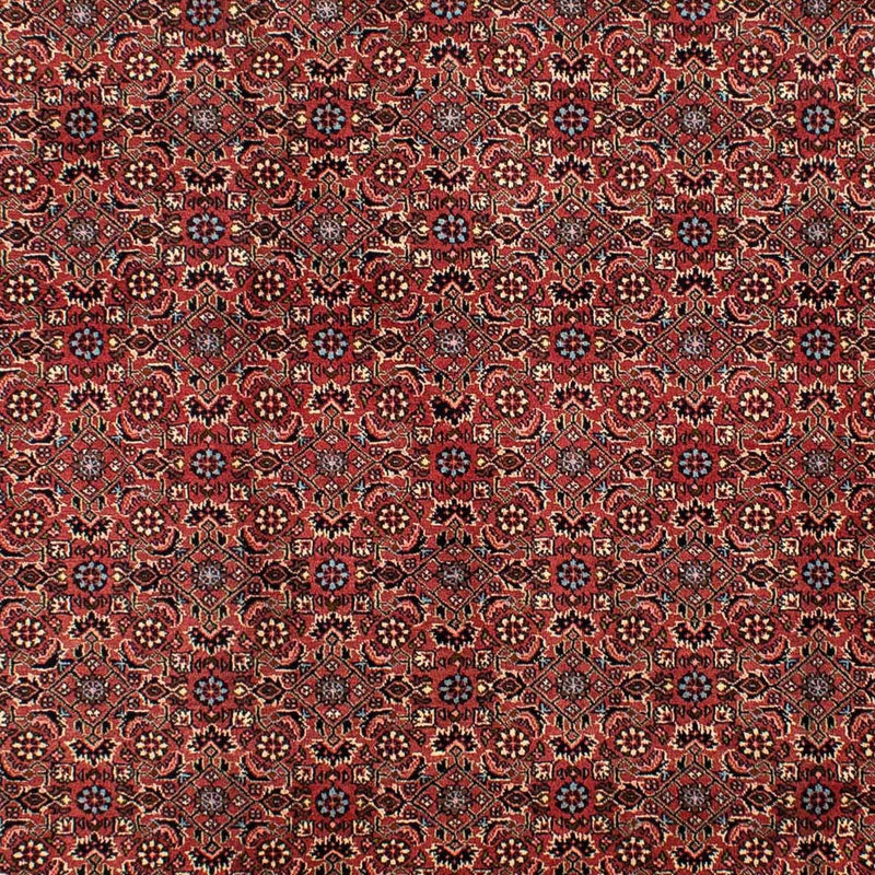 Bidjar Teppe 300x200cm - Persisk teppe