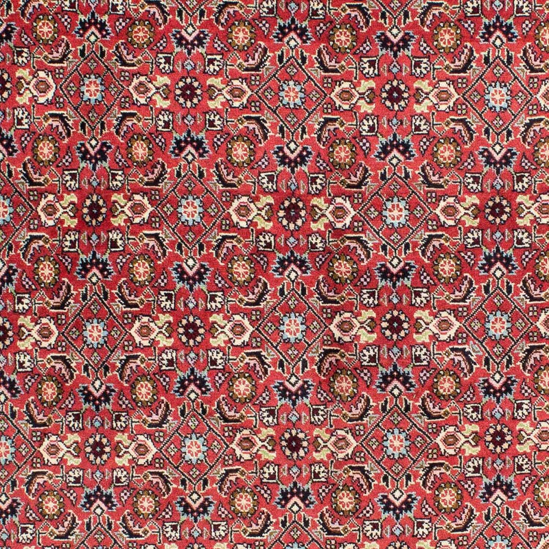 Bidjar - Zanjan Teppe 138x233cm - Persisk teppe