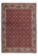 Bidjar - Zanjan Teppe 193x137cm - Persisk teppe