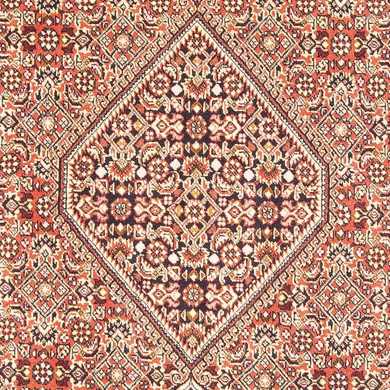 Bidjar - Zanjan Teppe 110x176cm - Persisk teppe