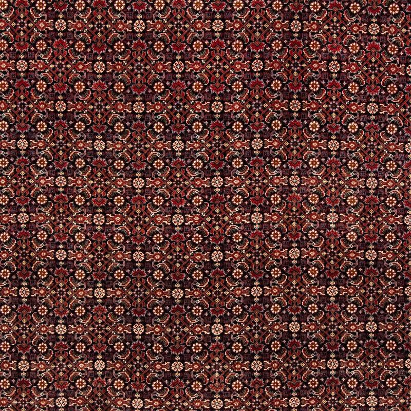 Bidjar Teppe 248x205cm - Persisk teppe