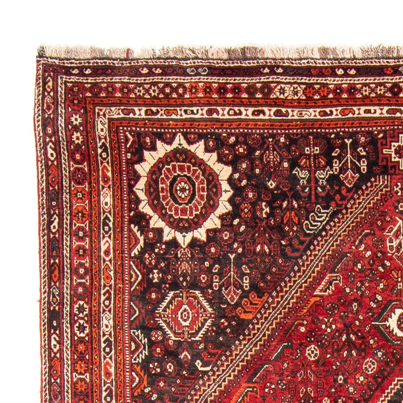 Qashqai Teppe 328x215cm - Persisk teppe