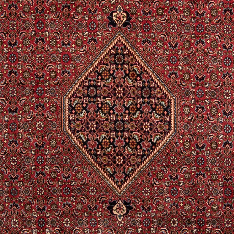 Bidjar Teppe 248x343cm - Persisk teppe