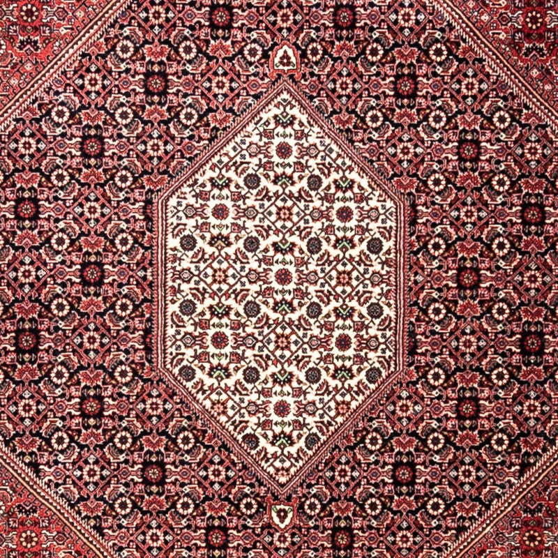 Bidjar - Takab Teppe 252x346cm - Persisk teppe
