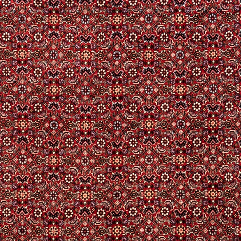 Bidjar - Takab Teppe 340x248cm - Persisk teppe