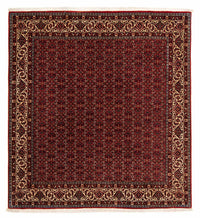 Bidjar Teppe 207x200cm - Persisk teppe – product image