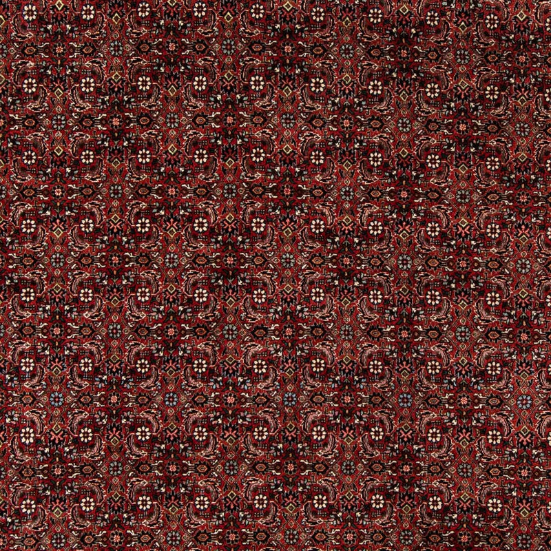 Bidjar Teppe 242x202cm - Persisk teppe