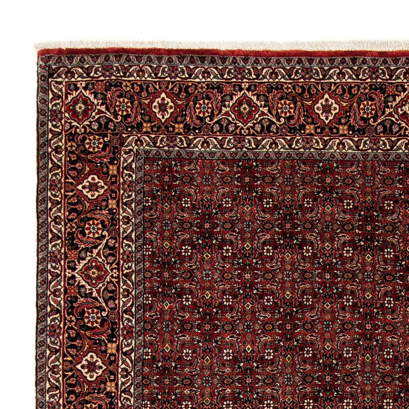 Bidjar Teppe 242x202cm - Persisk teppe