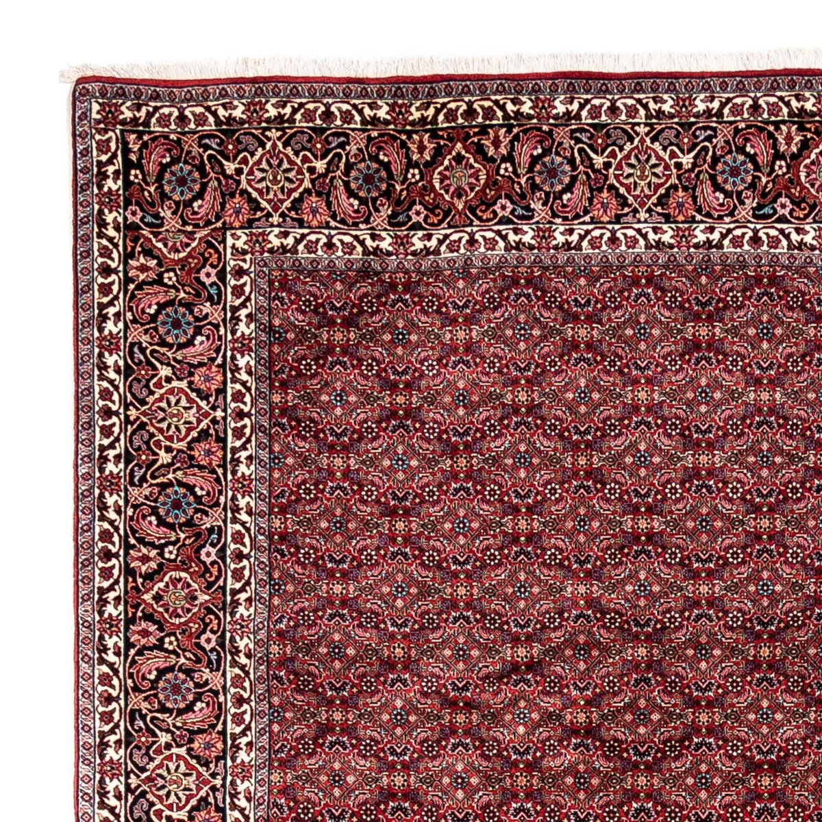 Bidjar - Takab Teppe 252x337cm - Persisk teppe