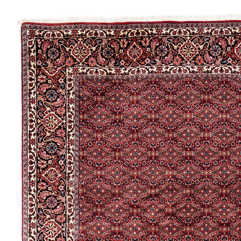 Bidjar - Takab Teppe 252x337cm - Persisk teppe