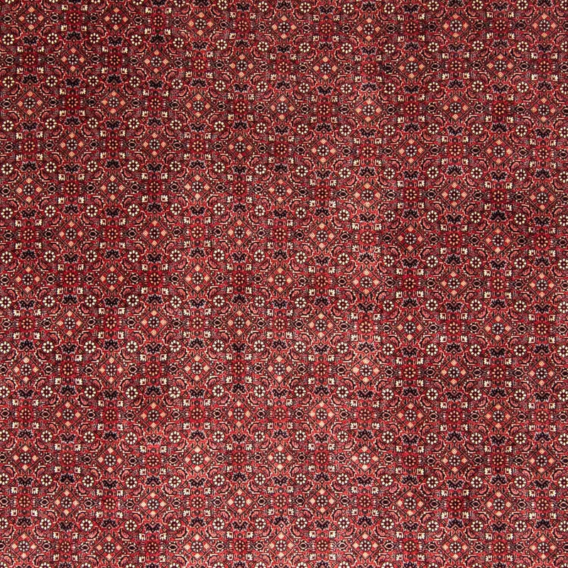 Bidjar Teppe 338x258cm - Persisk teppe