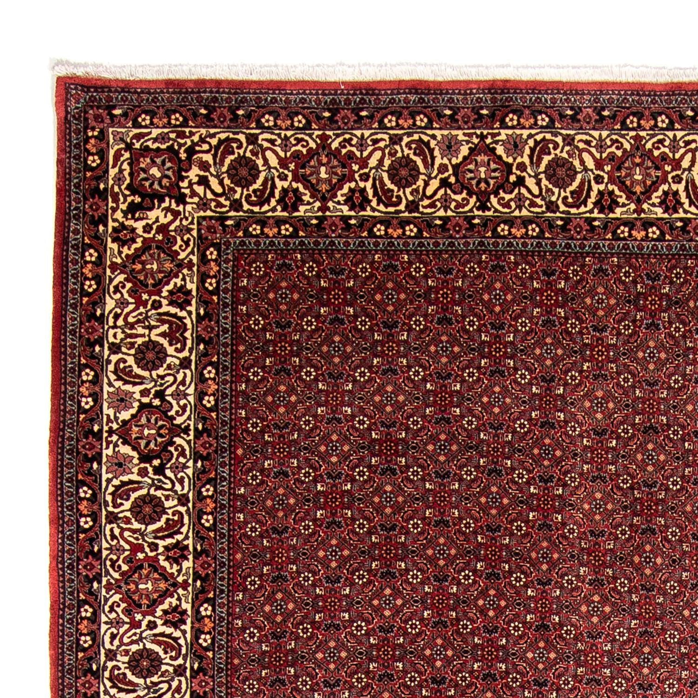 Bidjar Teppe 338x258cm - Persisk teppe
