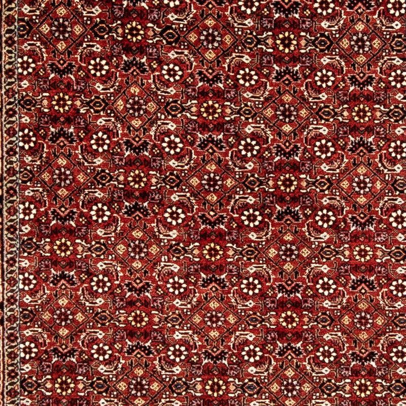 Bidjar Teppe 298x80cm - Persisk teppe