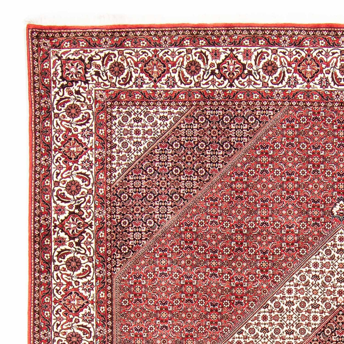 Bidjar Teppe 256x312cm - Persisk teppe