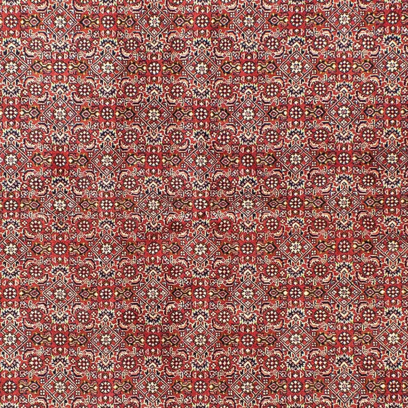 Bidjar Teppe 245x170cm - Persisk teppe