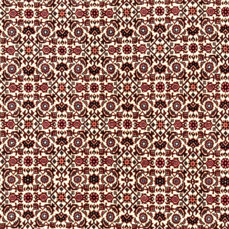 Bidjar - Takab Teppe 253x343cm - Persisk teppe