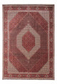 Bidjar - Takab Teppe 250x353cm - Persisk teppe