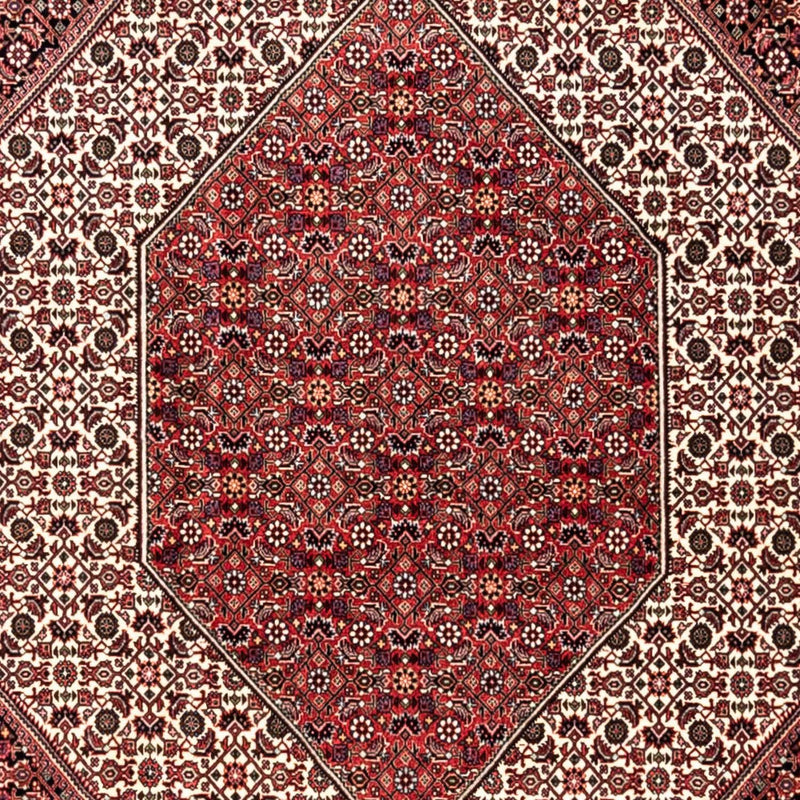 Bidjar - Takab Teppe 250x353cm - Persisk teppe