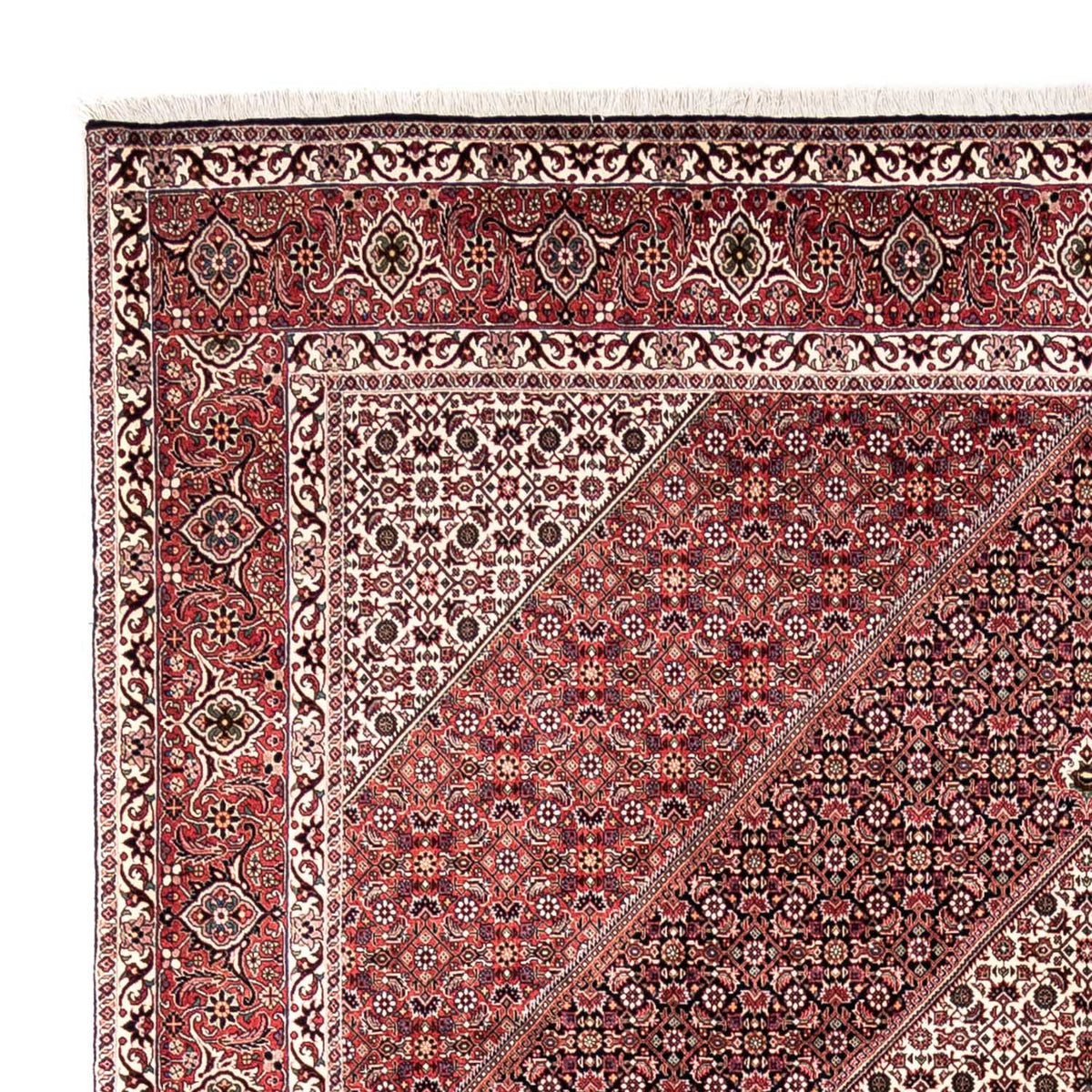 Bidjar - Takab Teppe 250x353cm - Persisk teppe