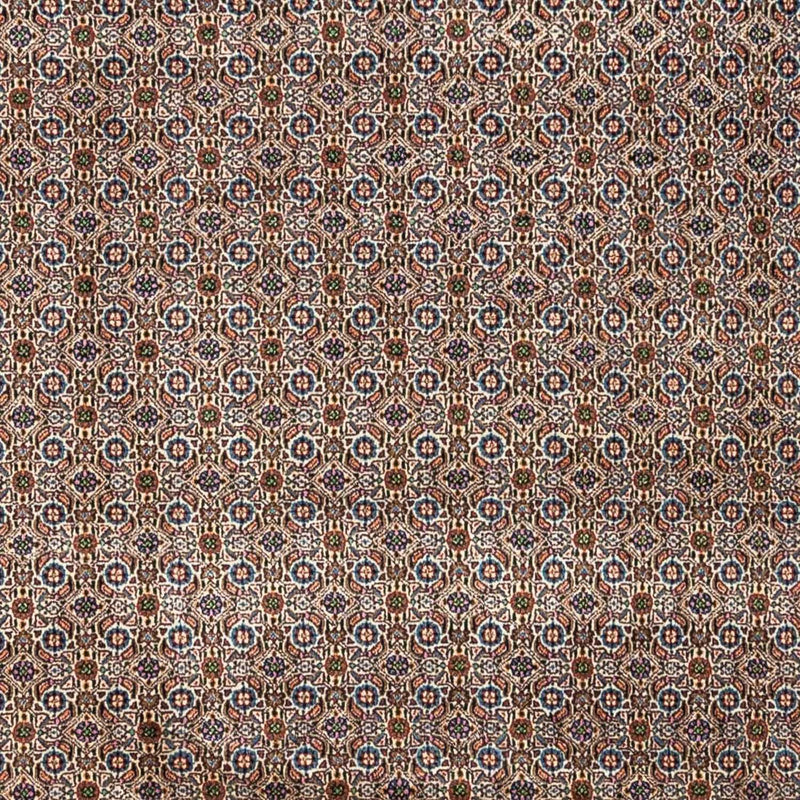 Moud Teppe 250x342cm - Persisk teppe