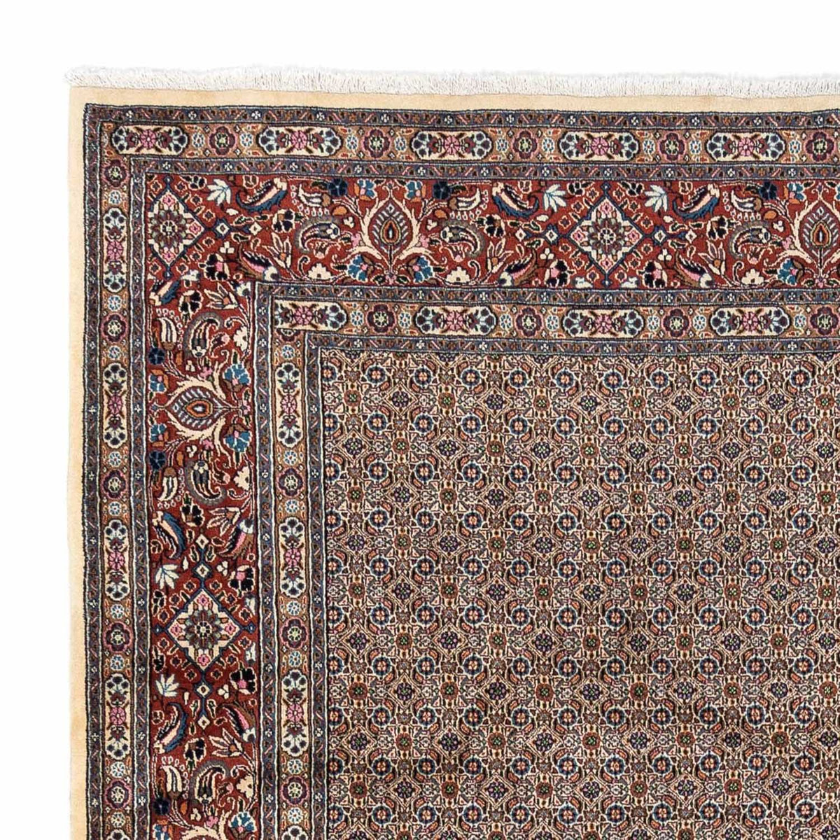 Moud Teppe 250x342cm - Persisk teppe