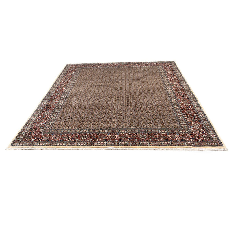 Moud Teppe 250x342cm - Persisk teppe
