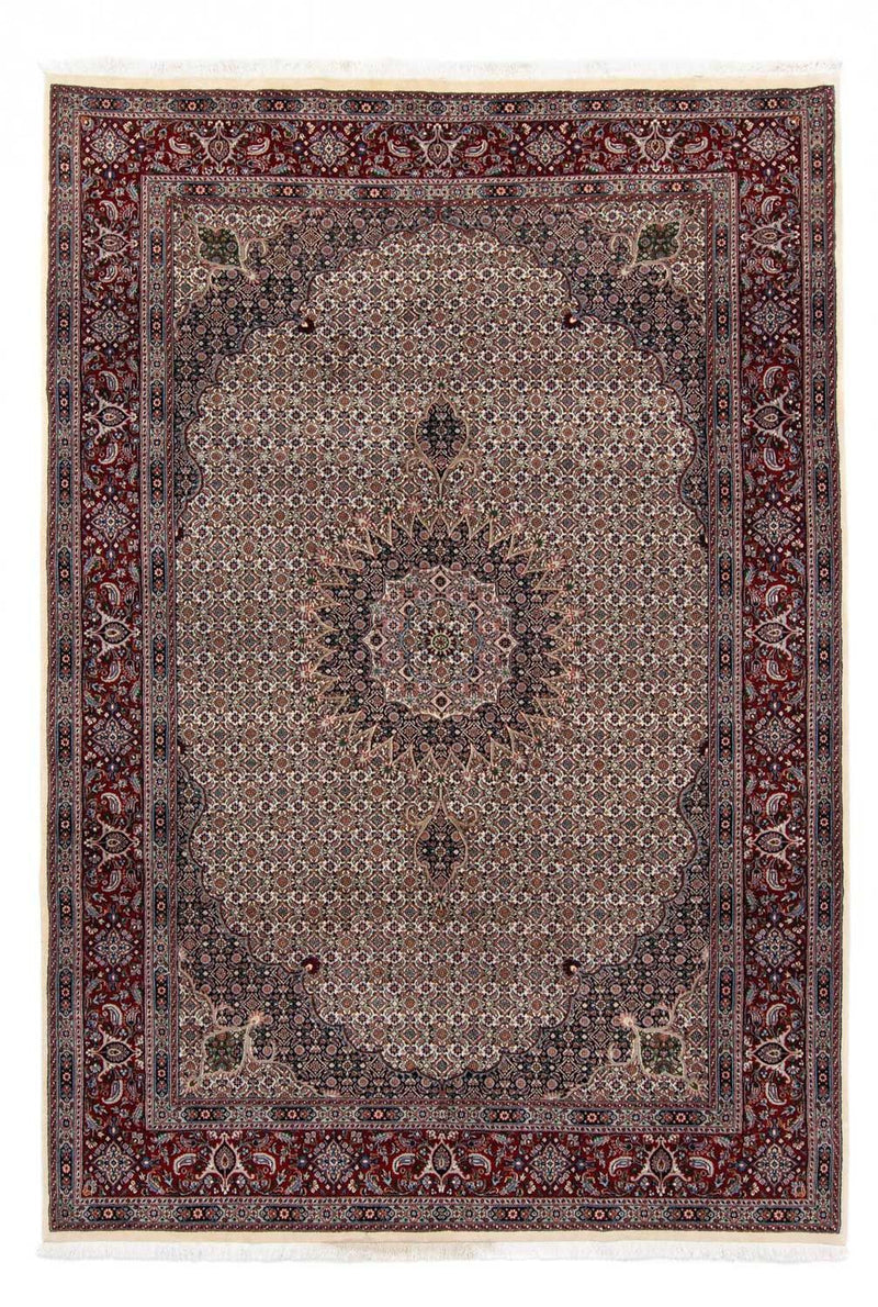 Moud Teppe 296x203cm - Persisk teppe
