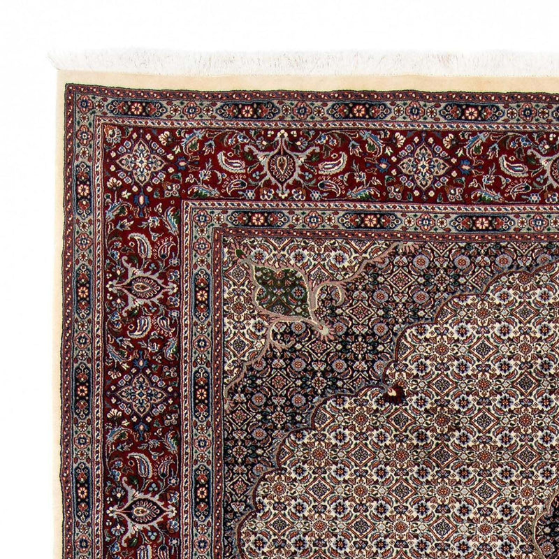 Moud Teppe 296x203cm - Persisk teppe
