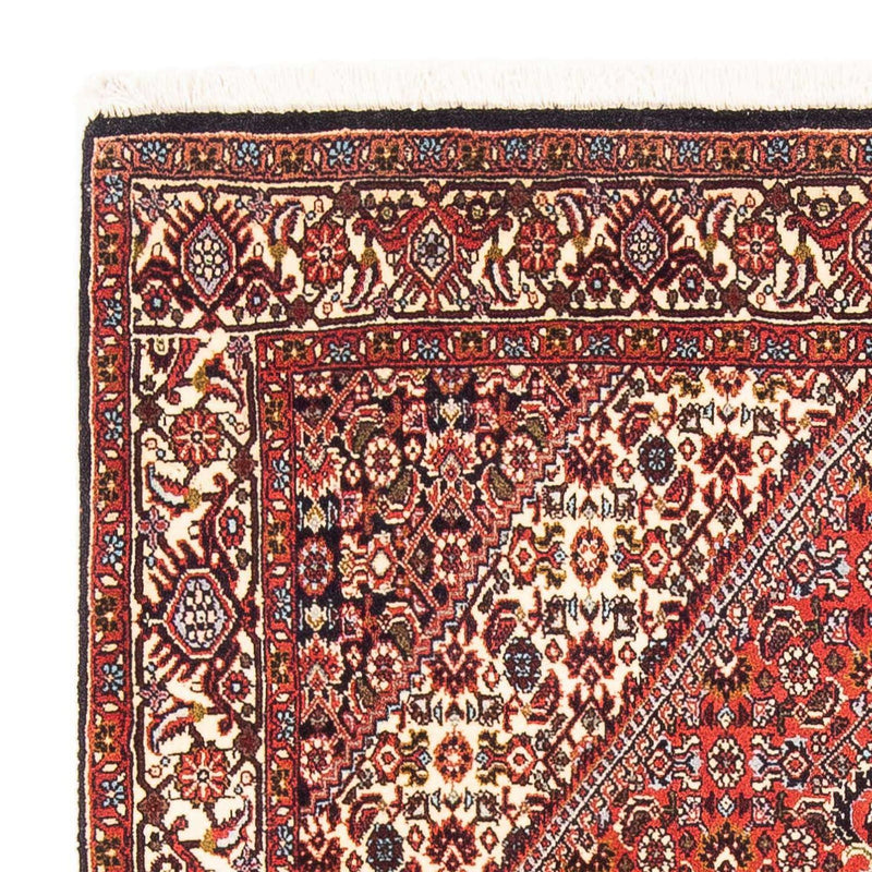 Bidjar - Zanjan Teppe 190x110cm - Persisk teppe