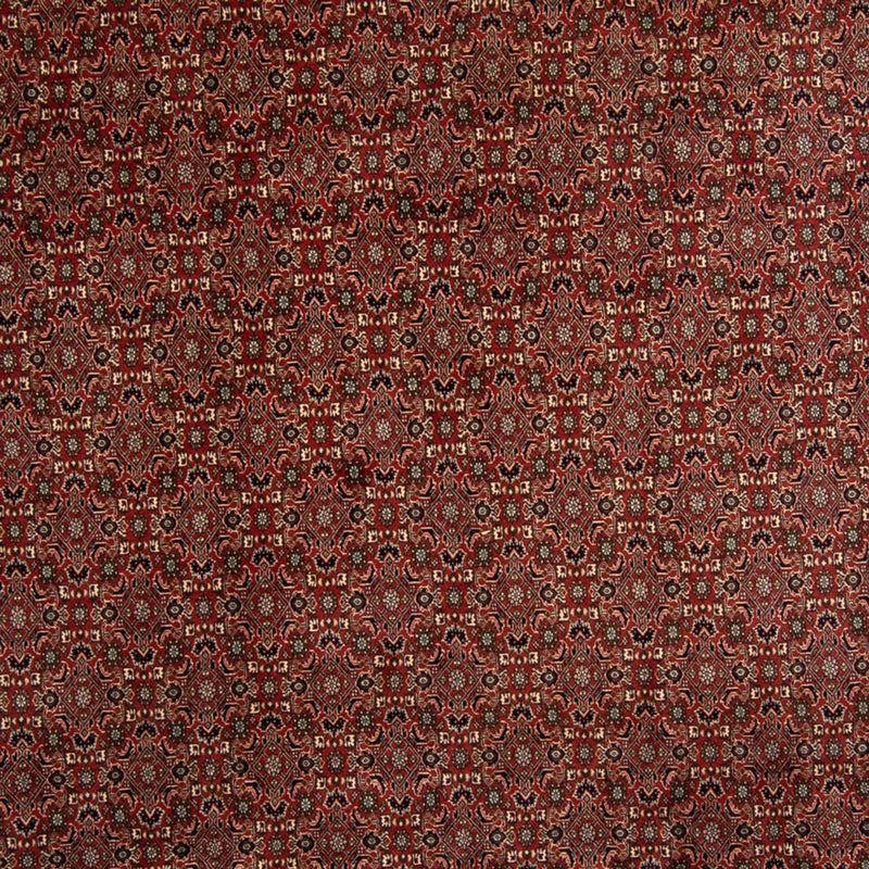 Bidjar Teppe 342x244cm - Persisk teppe