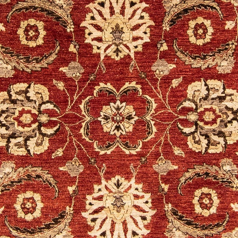 Ziegler Teppe 239x248cm - Orientalsk teppe