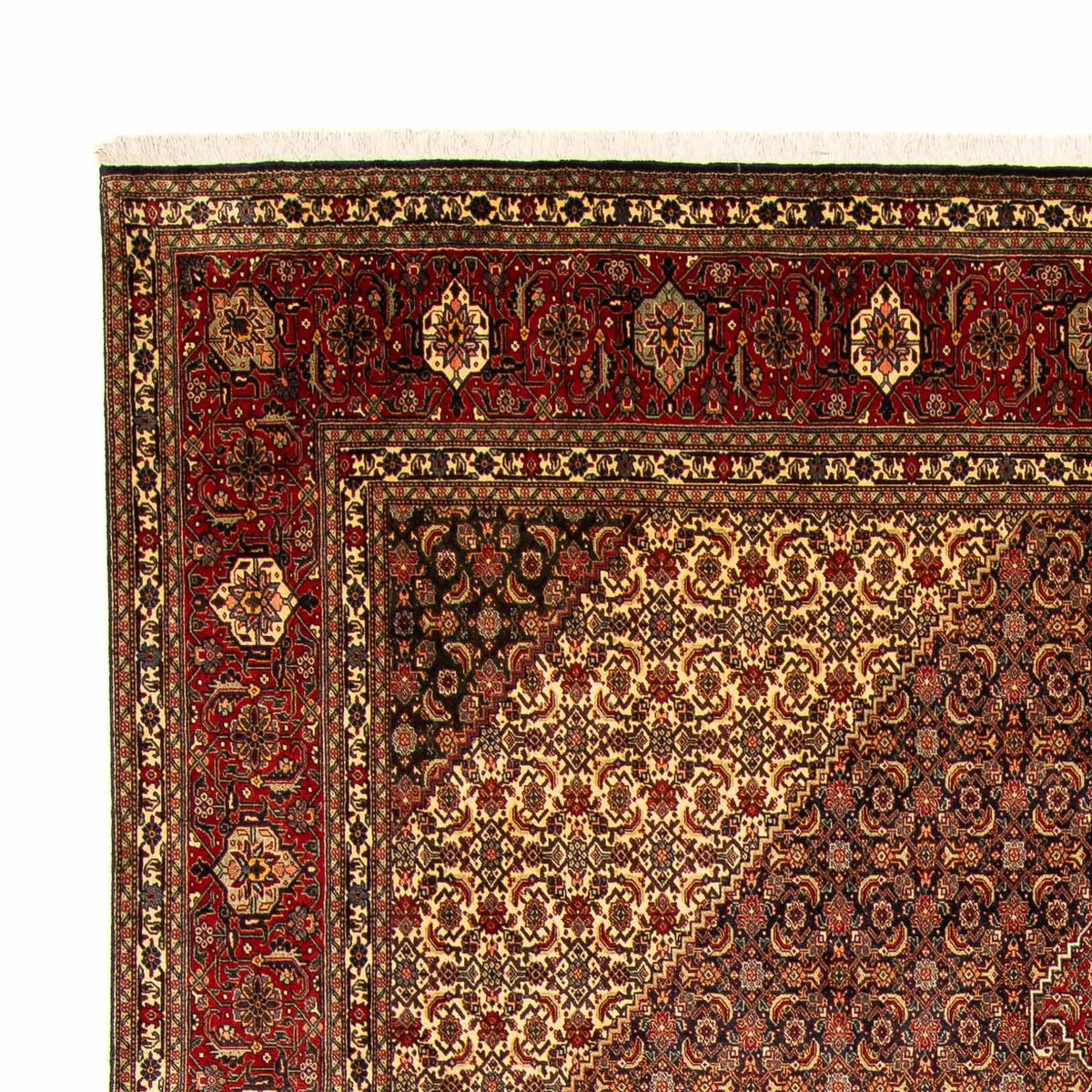 Tabriz Teppe 300x395cm - Persisk teppe