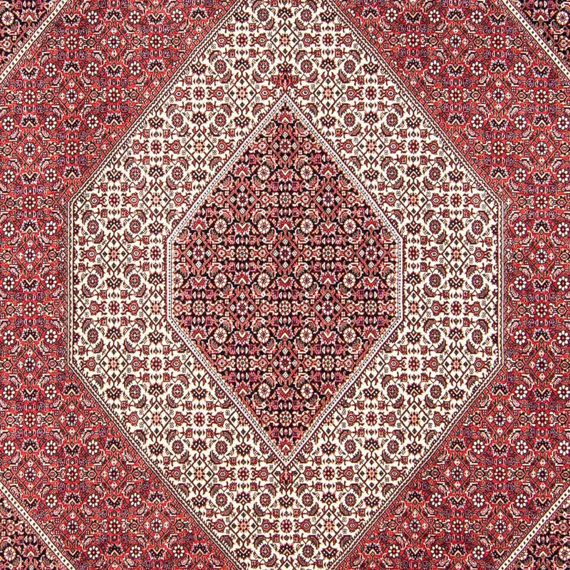 Bidjar Teppe 248x312cm - Persisk teppe