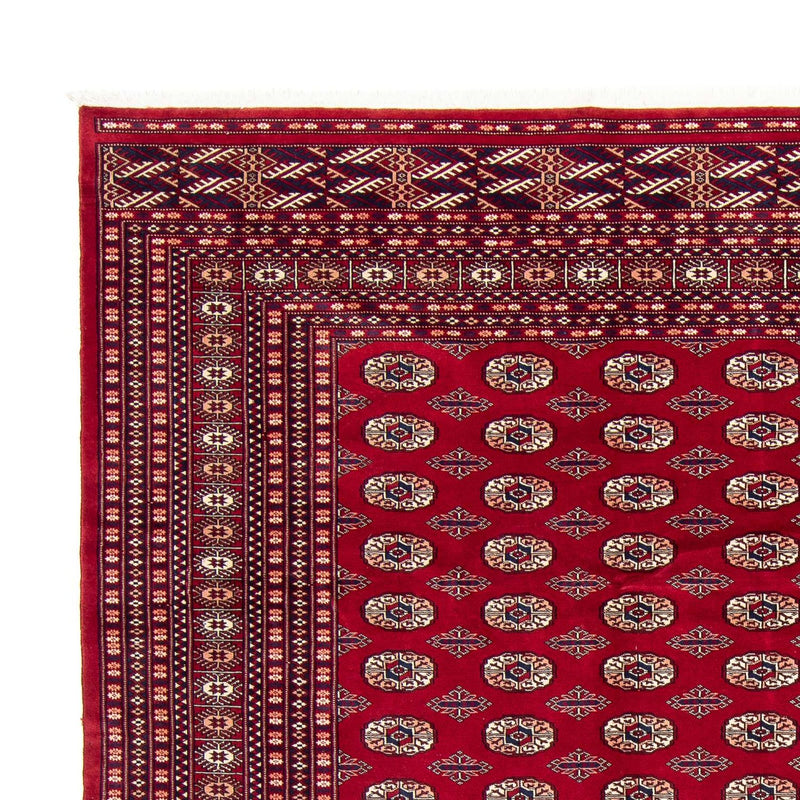 Bukhara Teppe 303x253cm - Orientalsk teppe