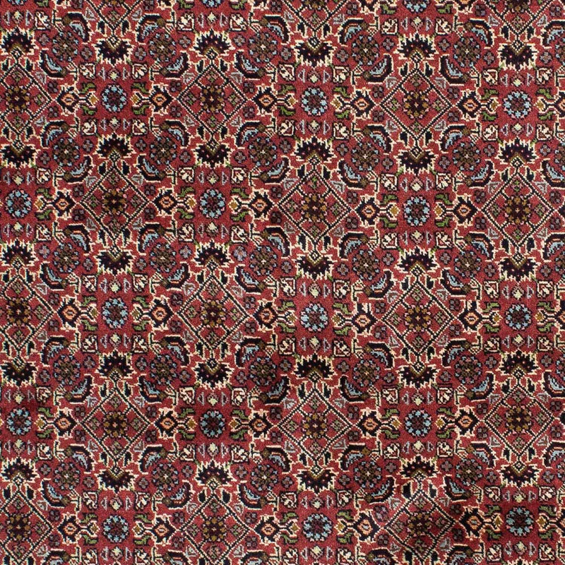 Bidjar - Zanjan Teppe 199x140cm - Persisk teppe