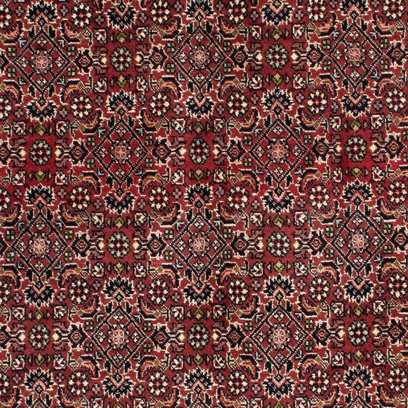 Bidjar - Zanjan Teppe 139x208cm - Persisk teppe